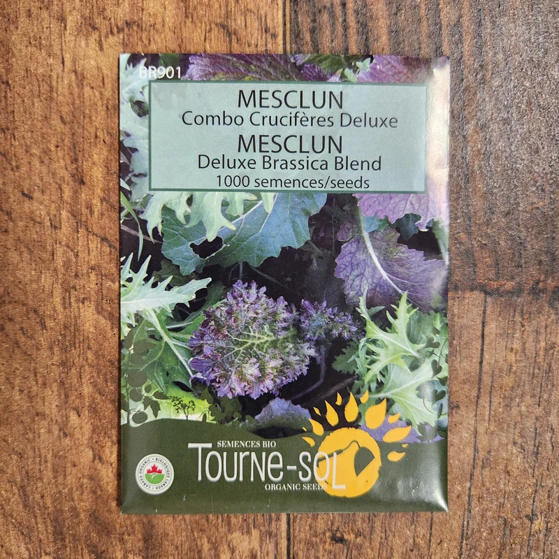 Mesclun Combo Crucifères de Luxe ( Brassica spp. )