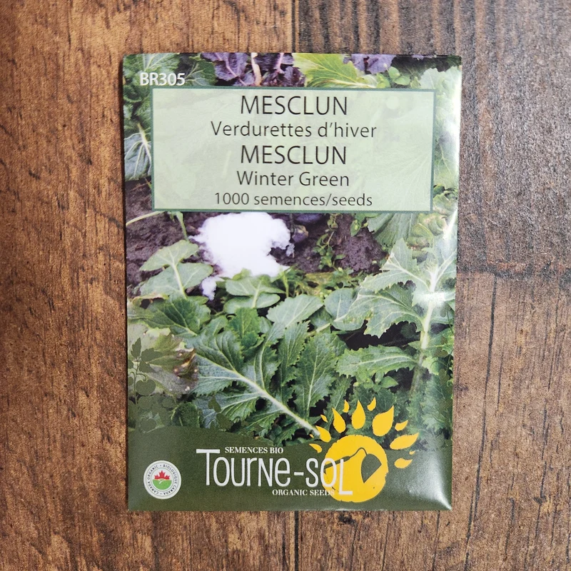 Mesclun ‘Verdurette d’hiver’ ( Brassica spp. )