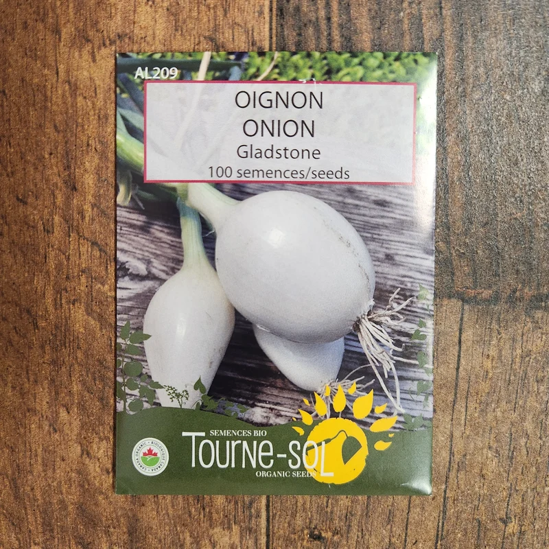 Oignon ‘Gladstone’ ( Allium cepa )