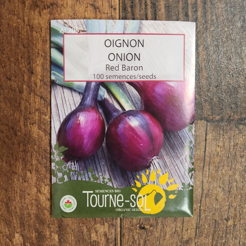 Oignon rouge ‘Red Baron’ ( Allium cepa )