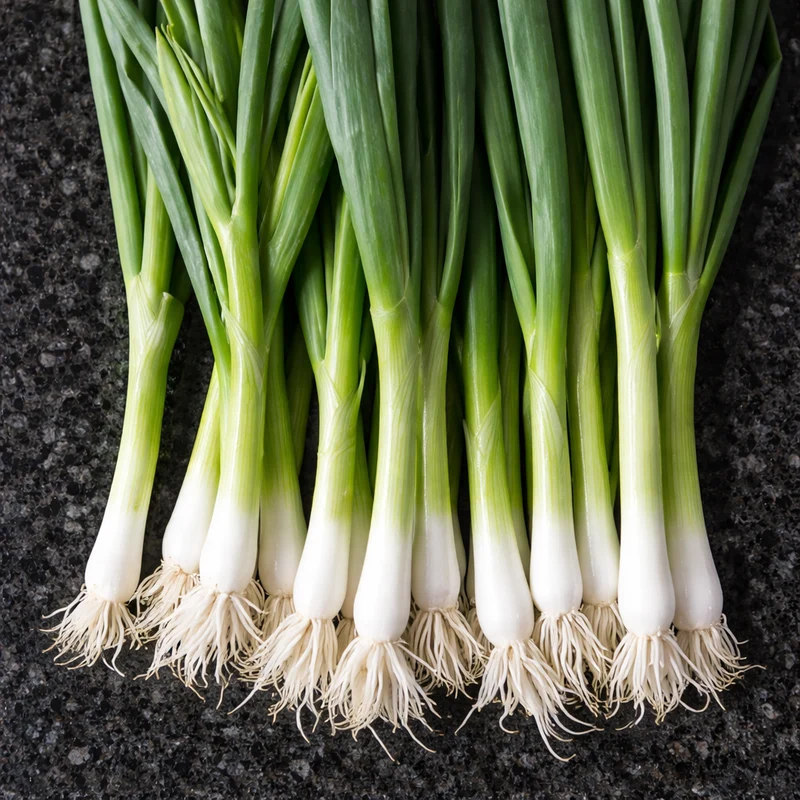 Échalote à botteler ‘Parade’ ( Allium fistulosum )