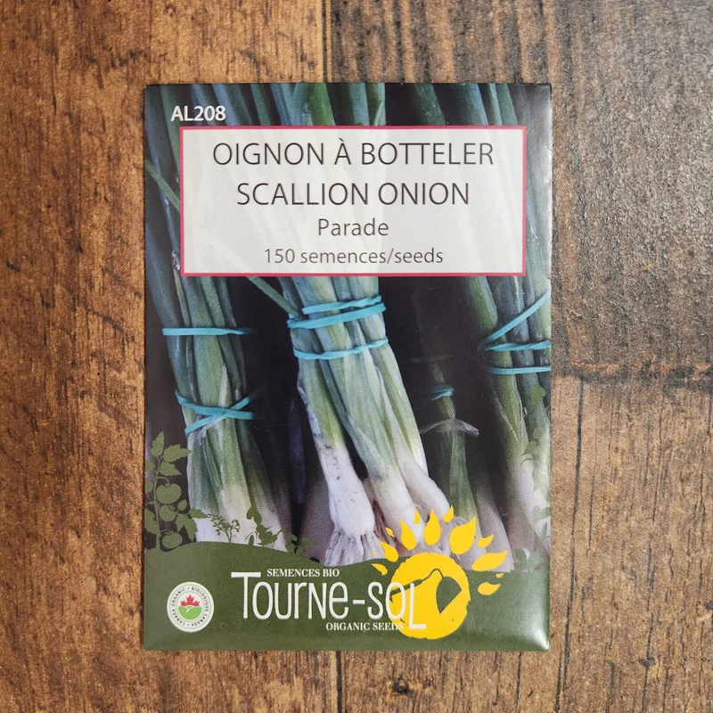 Échalote à botteler ‘Parade’ ( Allium fistulosum )