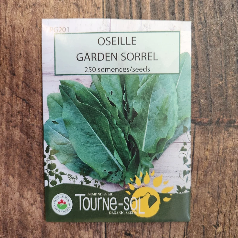 Oseille ( Rumex acetosa )