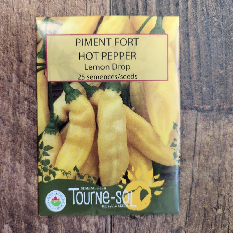 Piment fort ‘Lemon Drop’ ( Capsicum baccatum )