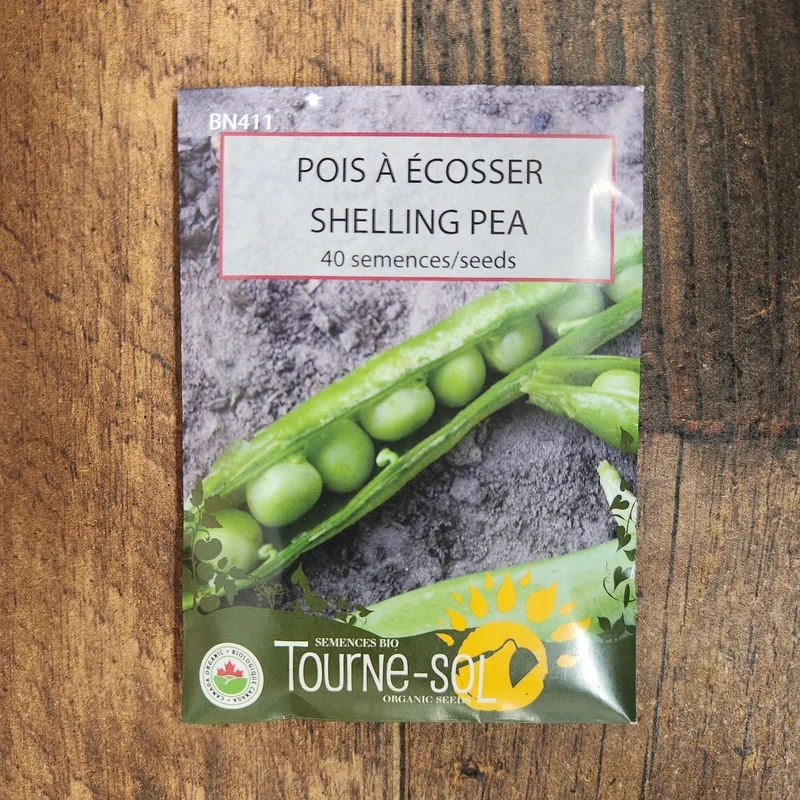 Pois à écosser ( Pisum sativum )