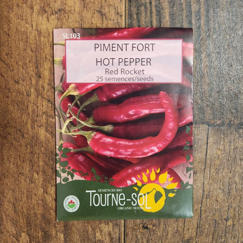 Piment fort ‘Red Rocket’ ( Capsicum annuum )