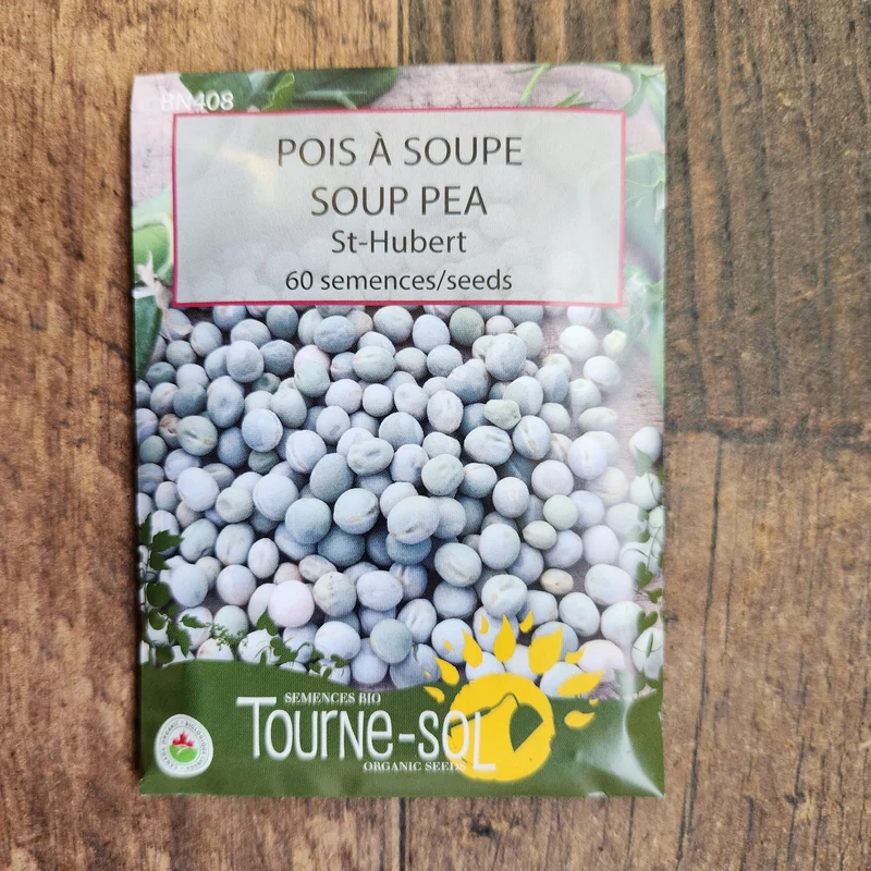 Pois à soupe ‘St-Hubert’ ( Pisum sativum )