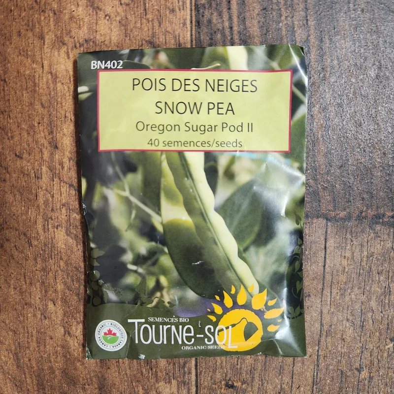 Pois des neiges ‘Oregon Sugar Pod II’ ( Pisum sativum )