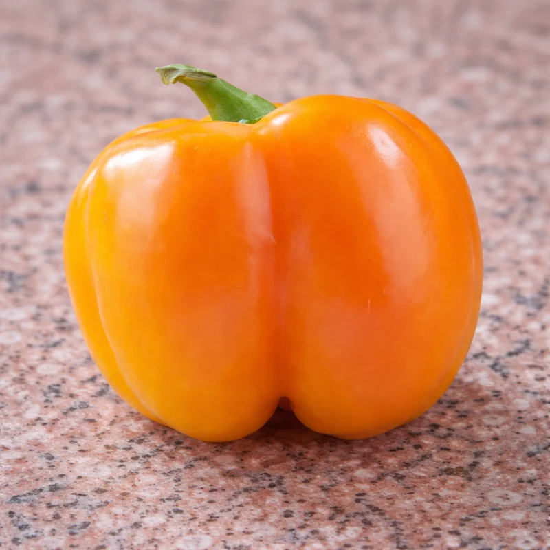 Poivron orange ‘Doe Hill’ ( Capsicum annuum )