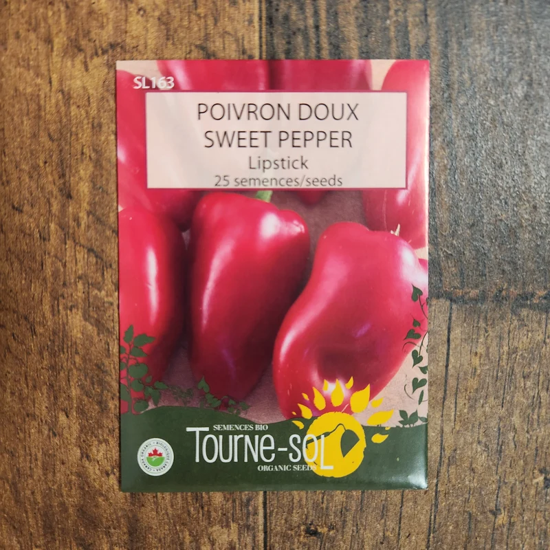 Poivron rouge ‘Lipstick’ ( Capsicum annuum )