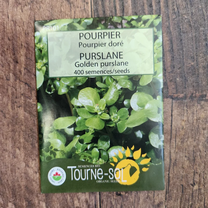 Pourpier doré ( Portulaca oleracea )