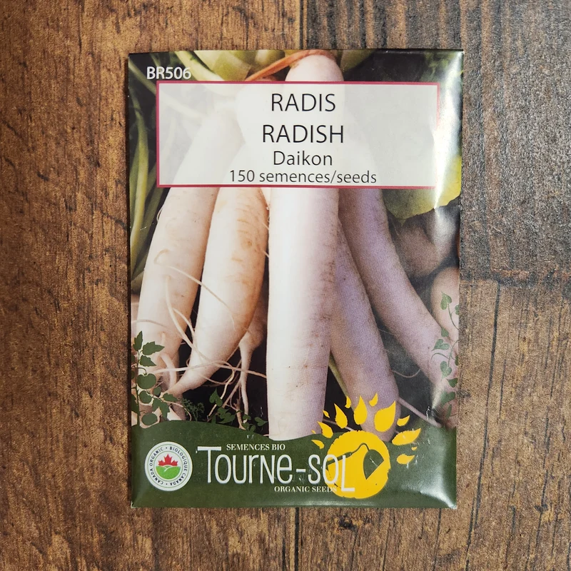 Radis daikon ( Raphanus sativus var. longipinnatus )