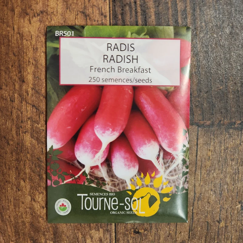 Radis ‘French Breakfast’ ( Raphanus sativus )