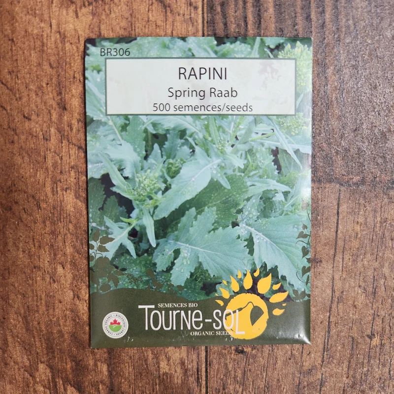 Rapini ‘Spring Raab’ ( Brassica rapa var. ruvo )