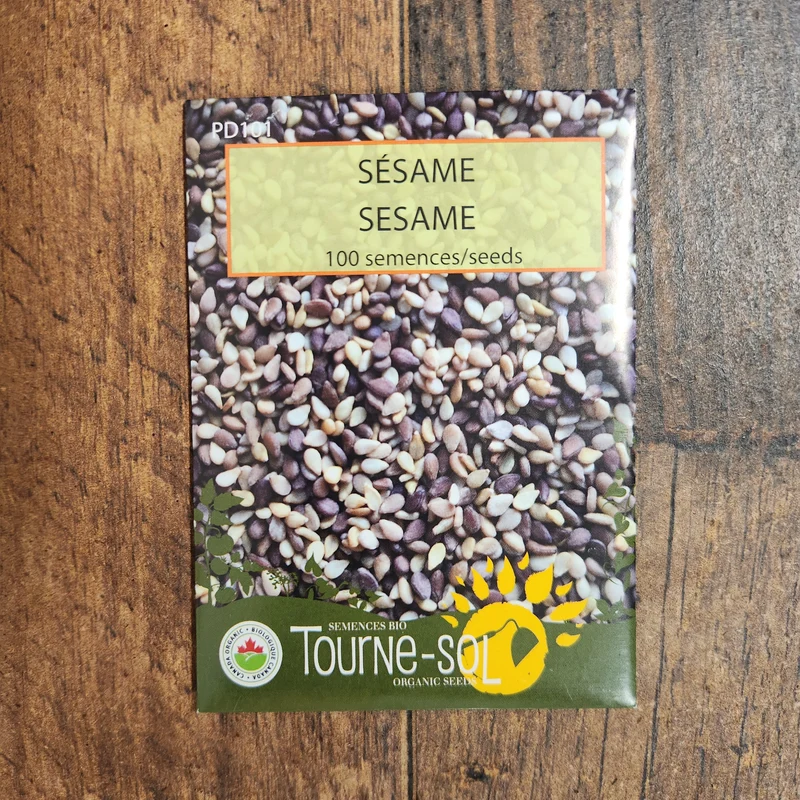 Sésame ( Sesamum indicum )