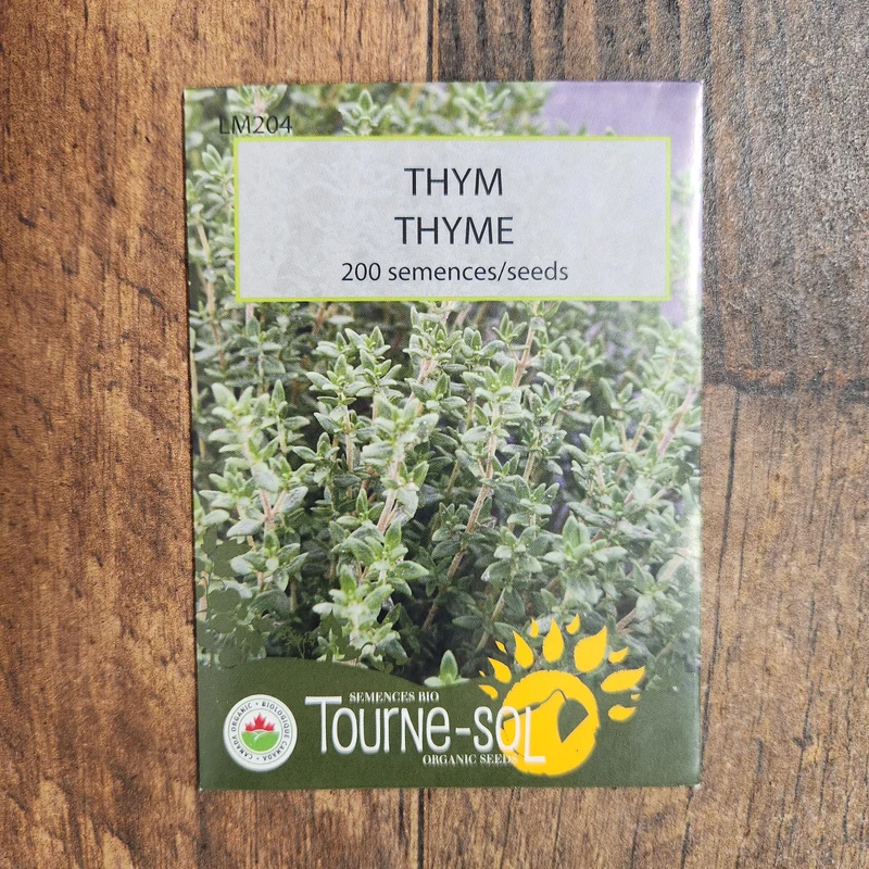 Thym ( Thymus vulgaris )