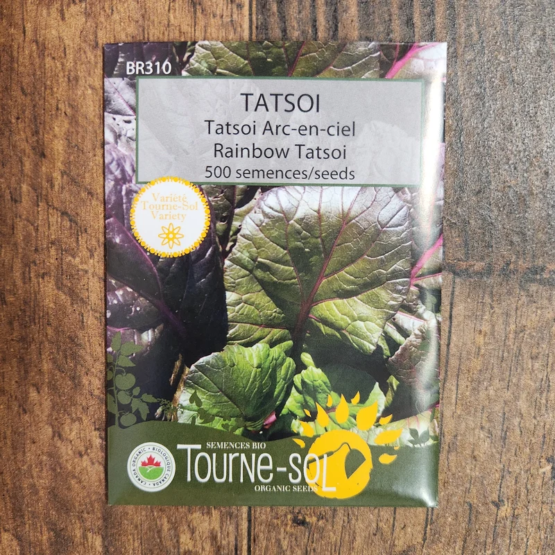 Tatsoi arc-en-ciel ( Brassica rapa var. narinosa )