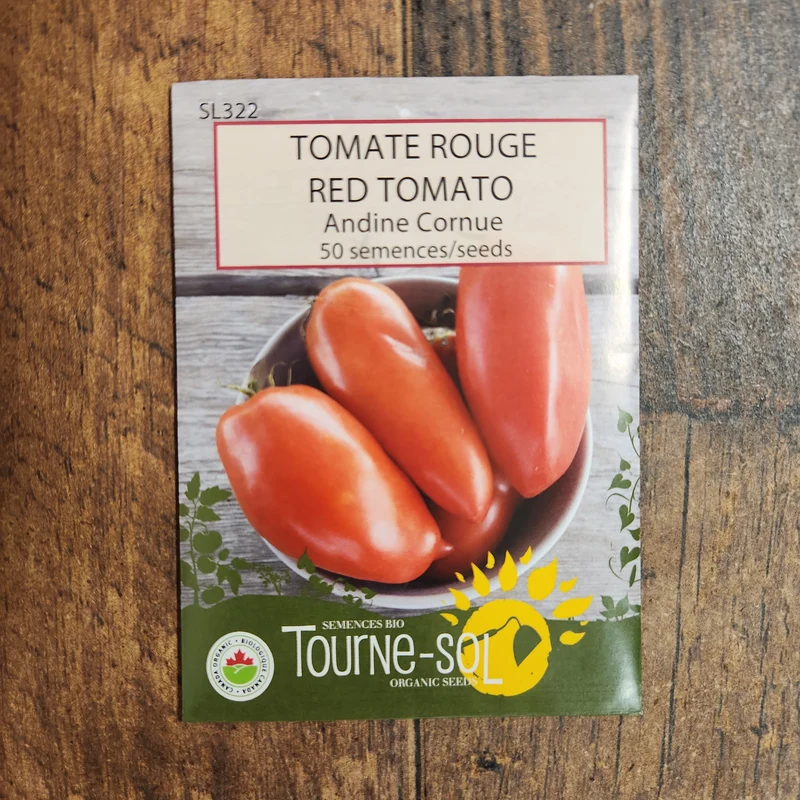 Tomate ‘Andine Cornue’ ( Solanum lycopersicum )