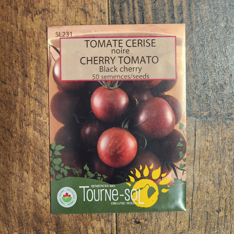 Tomate cerise noire ( Solanum lycopersicum )
