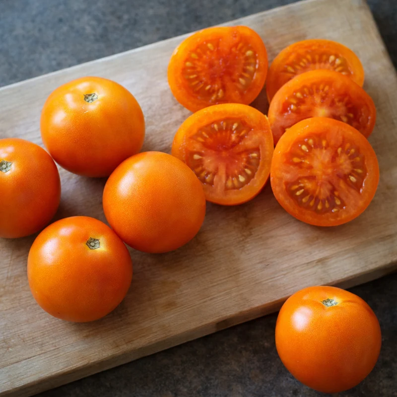 Tomate orange flammée ( Solanum lycopersicum )