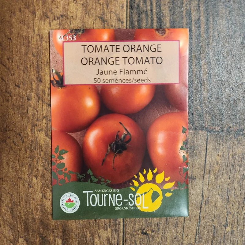 Tomate orange flammée ( Solanum lycopersicum )