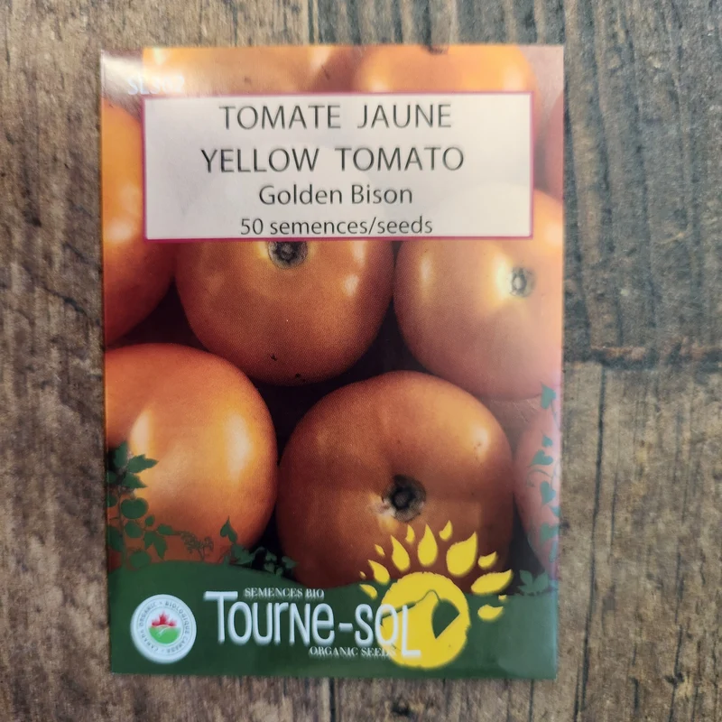 Tomate jaune ‘Golden Bison’ ( Solanum lycopersicum )