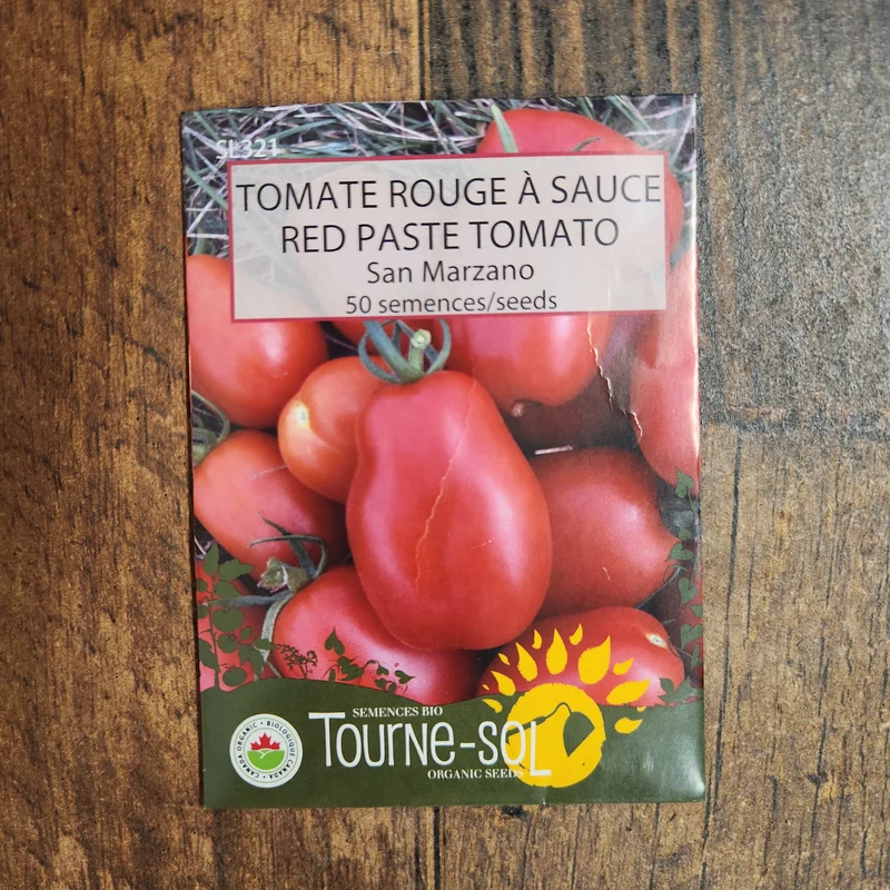 Tomate rouge à sauce ‘San Marzano’ ( Solanum lycopersicum )