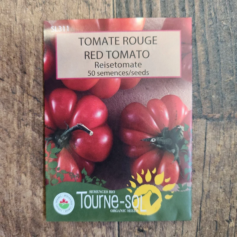 Tomate rouge ‘Reisetomate’ ( Solanum lycopersicum )