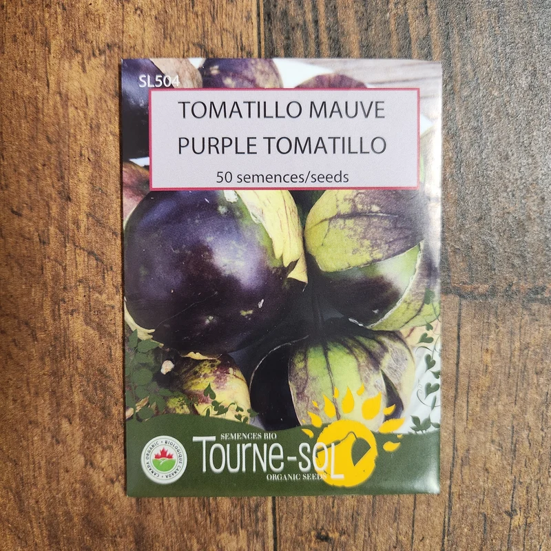 Tomatillo mauve ( Physalis ixocarpa )