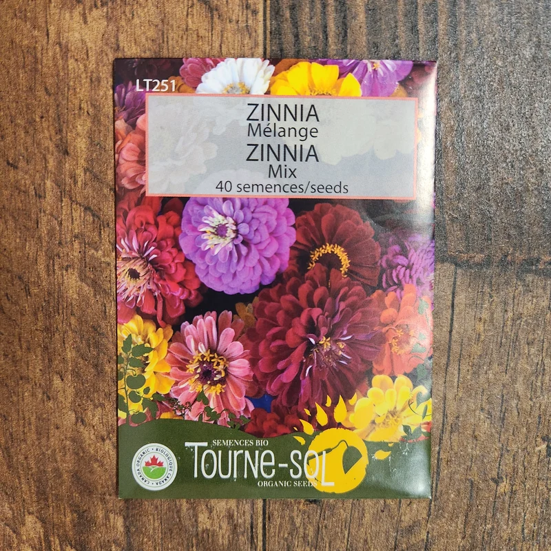 Mélange de zinnias ( Zinnia elegans )