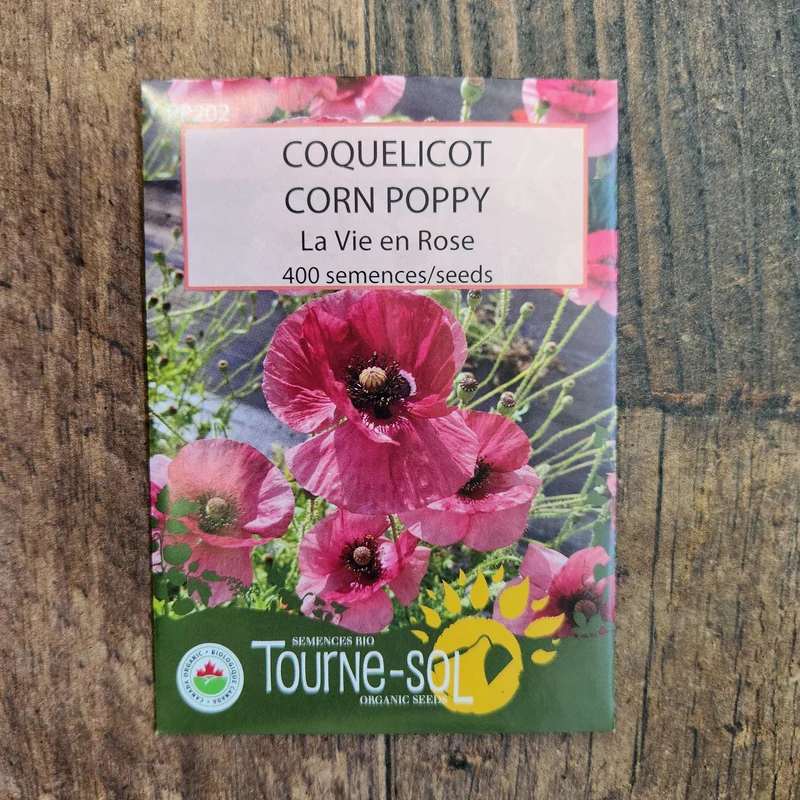 Coquelicot ‘La Vie en Rose’ ( Papaver rhoeas )