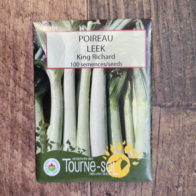 Poireau ‘King Richard’ ( Allium ampeloprasum )