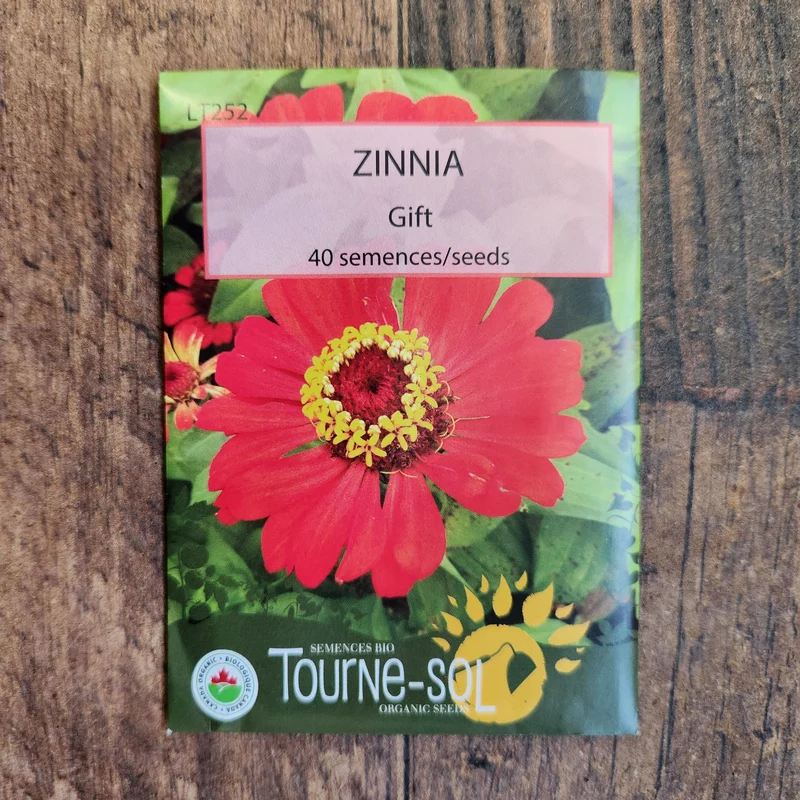Zinnia ‘Gift’ ( Zinnia elegans )