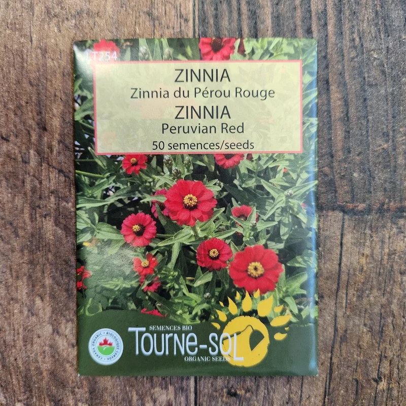Zinnia ‘Peruvian Red’ ( Zinnia peruviana )