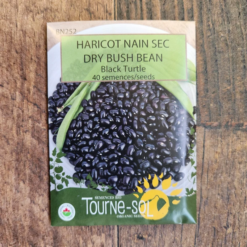 Haricot nain sec ‘Black Turtle’ ( Phaseolus vulgaris )