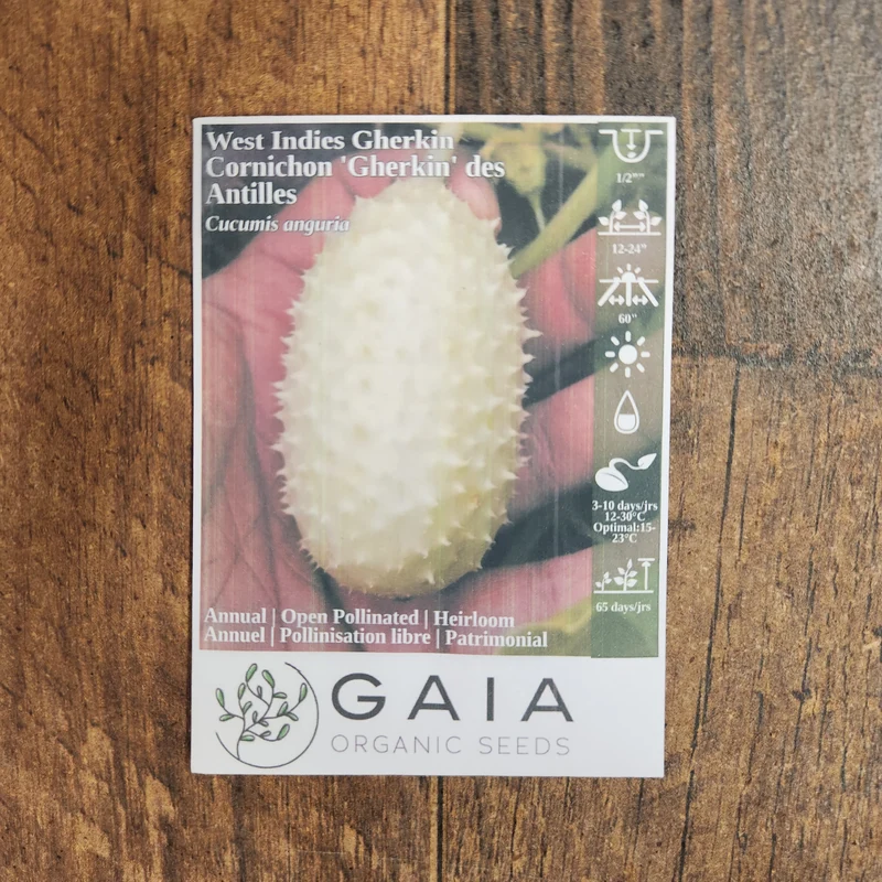Concombre à cornichon des Antilles 'Gherkin' bio