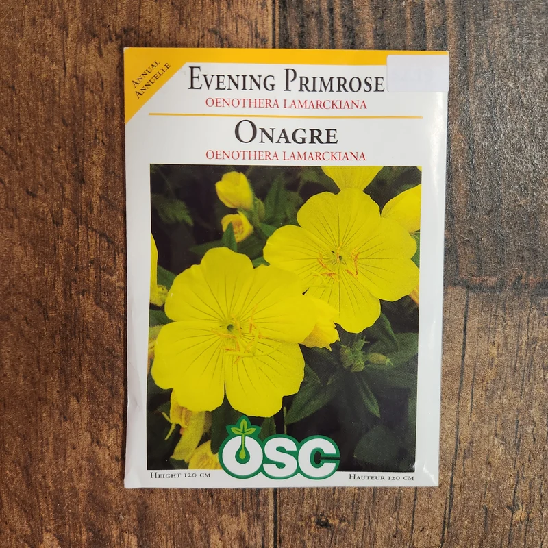 Onagre 'Lamarckiana'
