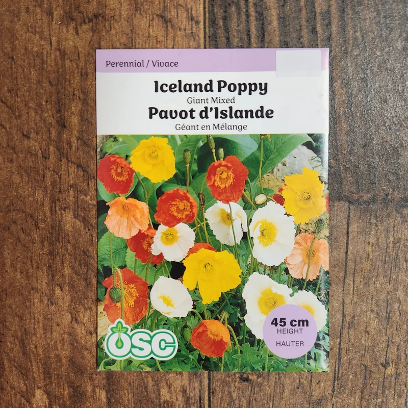 Pavot d'Islande 'Giant Mixed'