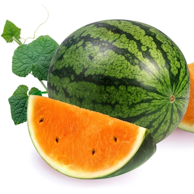 Melon d'eau orange 'Tendersweet'