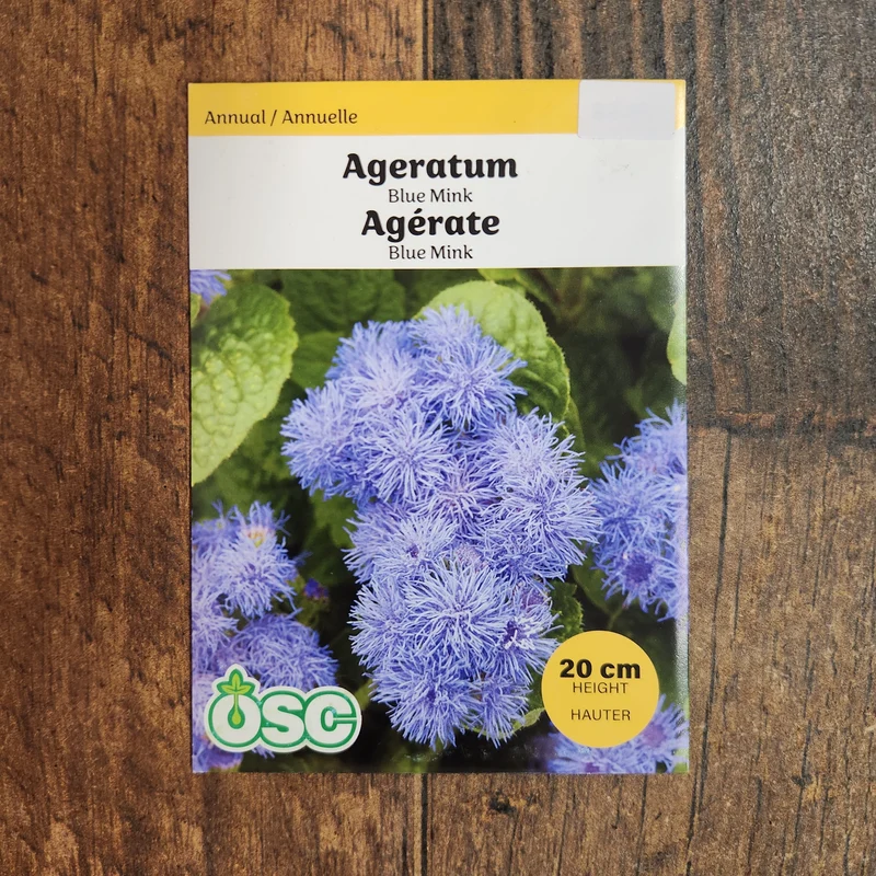 Agératum 'Blue Mink'