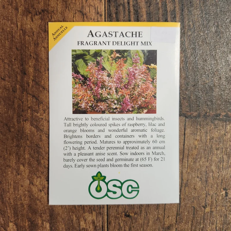 Agastache 'Fragrant Delight Mix'