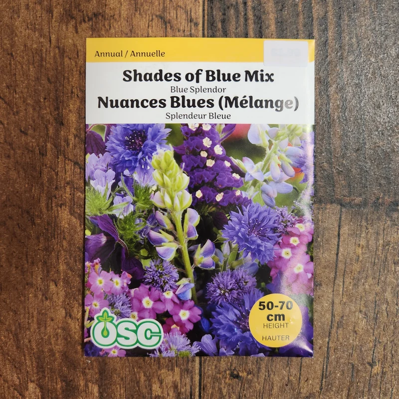 Mélange de fleurs 'Blue Splendor'