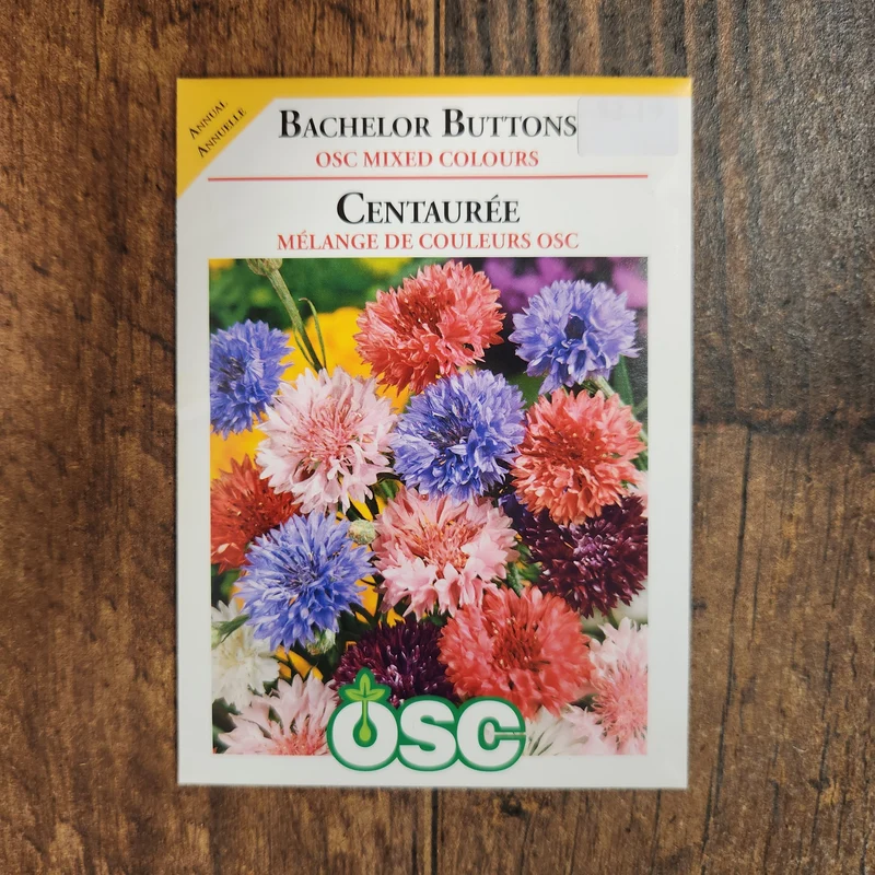 Centaurée 'Mélange Spécial'