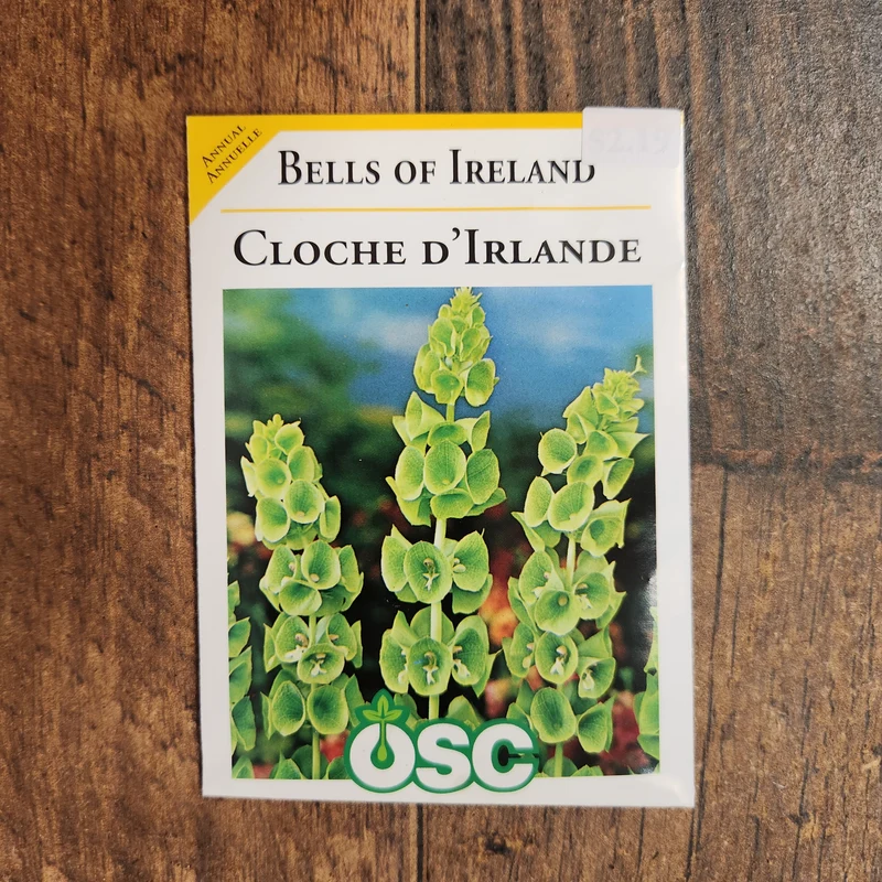 Cloche d'Irlande 'Green Bells'