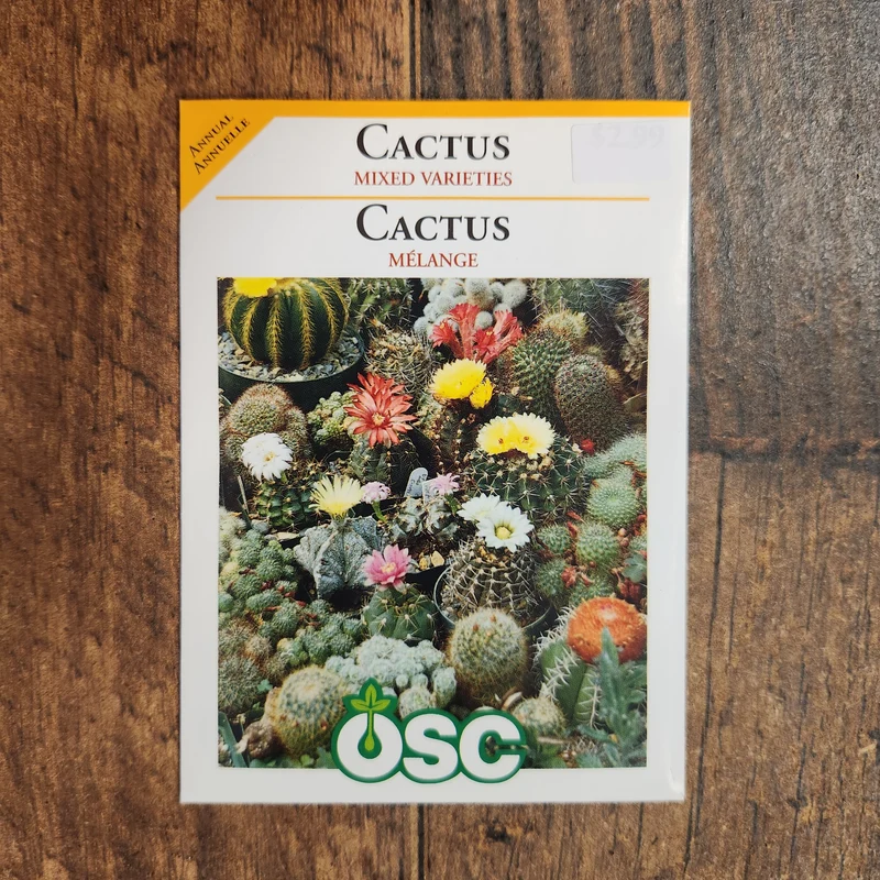Cactus mélangé