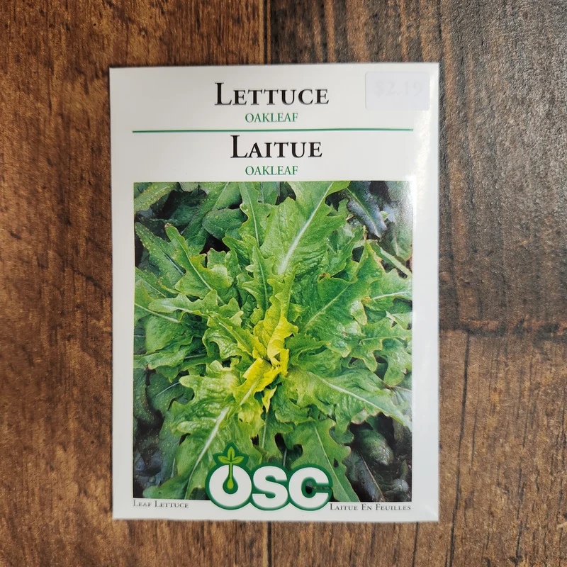 Laitue à feuilles de chêne