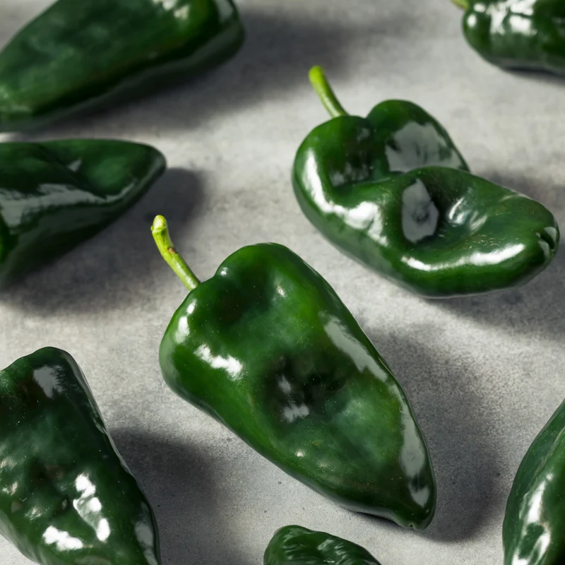 Piment fort 'Ancho Poblano'