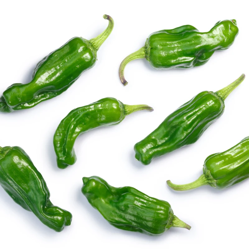 Poivron Grec doré (Pepperoncini)