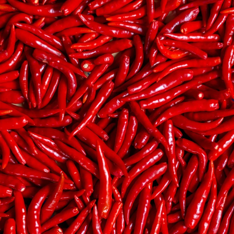 Piment fort 'Long Red Cayenne'