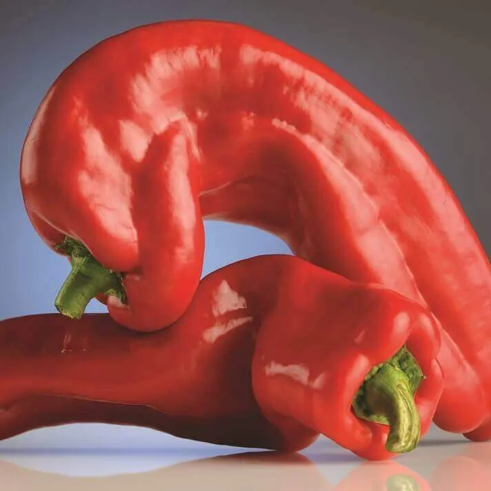 Poivron rouge 'Marconi Rosso'